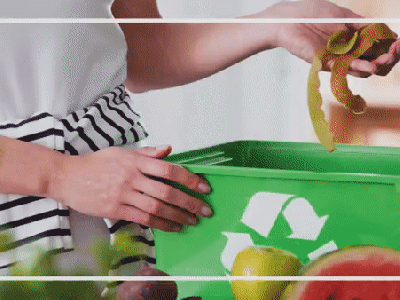 How to Reduce Biodegradable Waste?